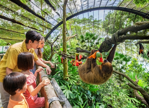 シンガポール動物園